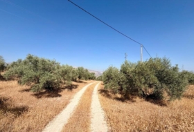 Foto 8