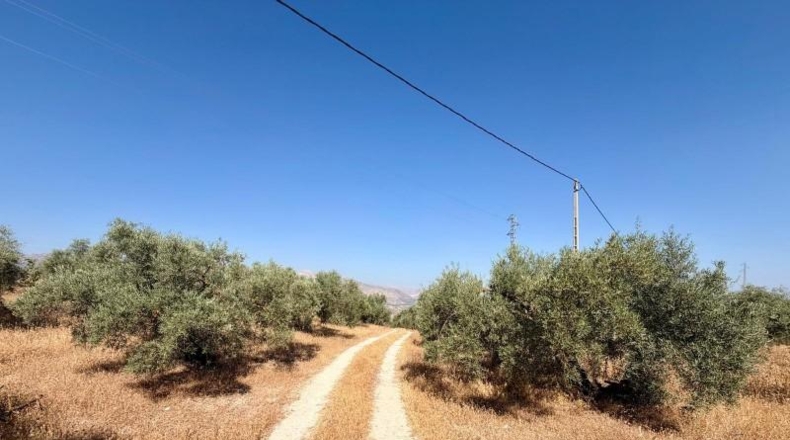 Granada - Salar - 27073m2