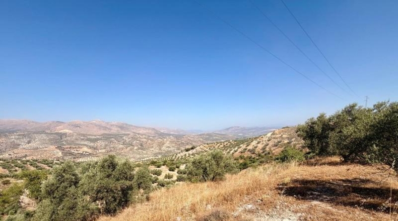 Granada - Salar - 27073m2