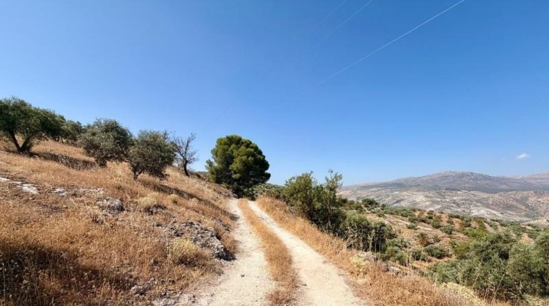 Granada - Salar - 27073m2
