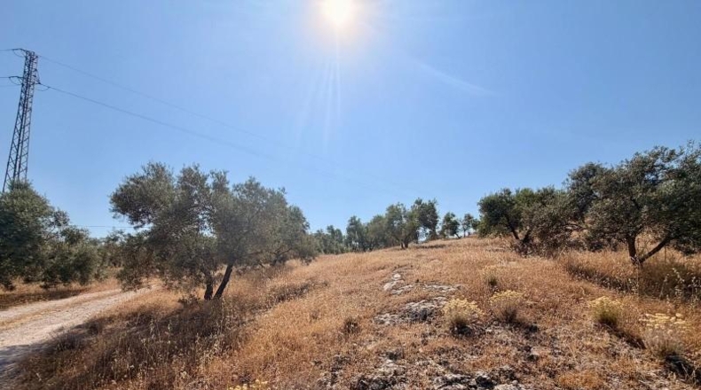 Granada - Salar - 27073m2