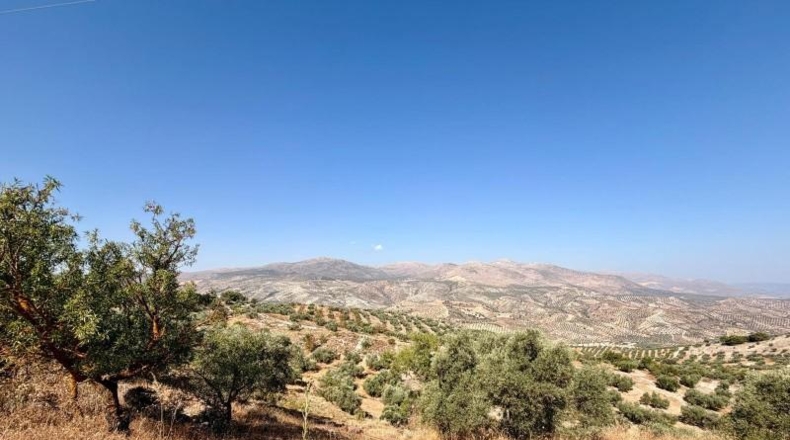 Granada - Salar - 27073m2