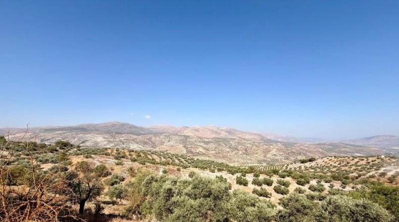 Granada - Salar - 27073m2