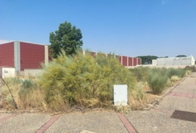 Foto 6