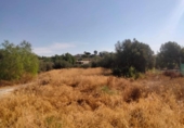 Xalet independent amb terreny en venda a la España, Asp, ref.: TR417291 foto