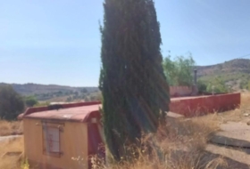 Foto 15