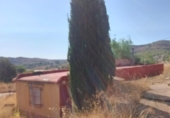 Xalet independent amb terreny en venda a la España, Asp, ref.: TR417291 foto