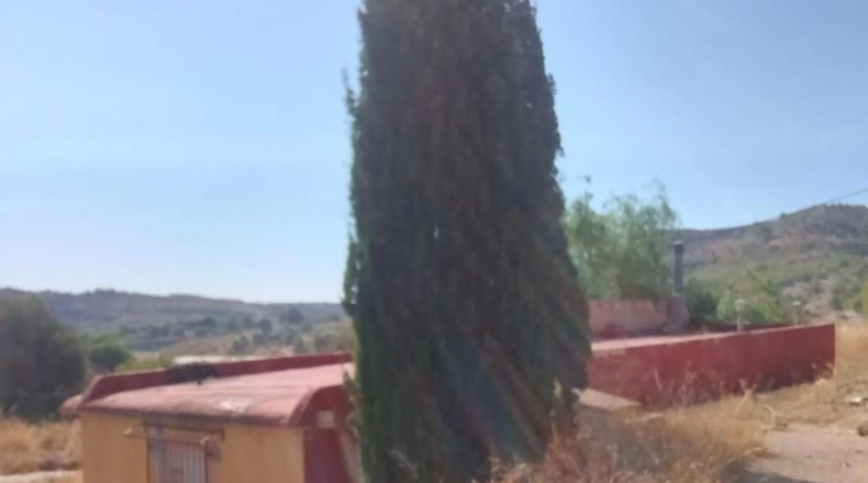 Alicante - Asp - 6222m2