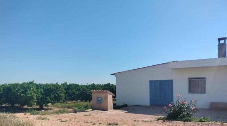 Valencia - Llíria - 9500m2