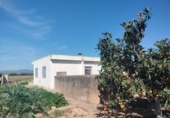 Detached villa with land for sale on España, Llíria, ref: TR417294 photo