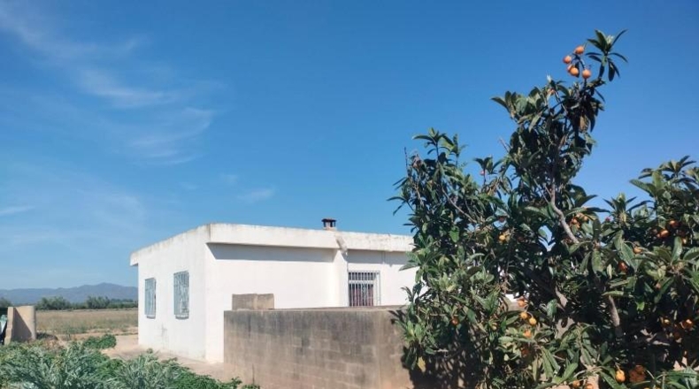 Valencia - Llíria - 9500m2