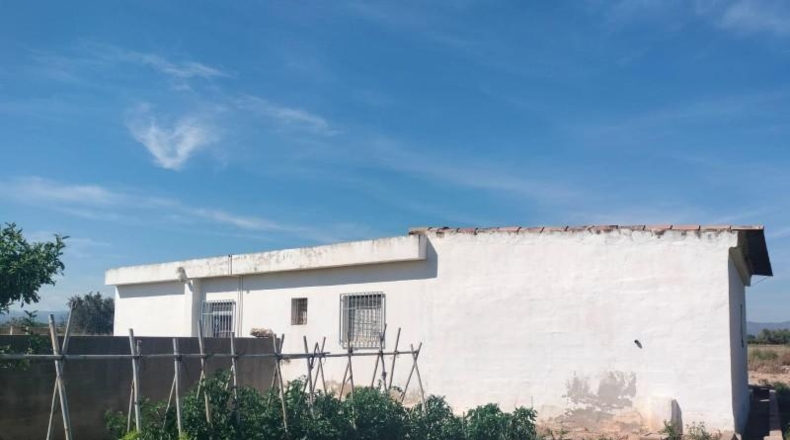 Valencia - Llíria - 9500m2