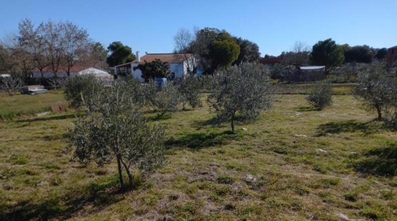 Cáceres - Cáceres - 3000m2