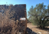 Terreno no urbanizable en venta en la España, l'Ampolla, ref: TR417298 foto