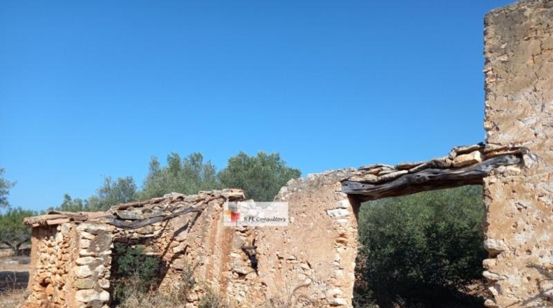 Tarragona - l'Ampolla - 24913m2