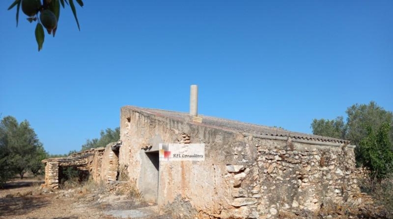 Tarragona - l'Ampolla - 24913m2