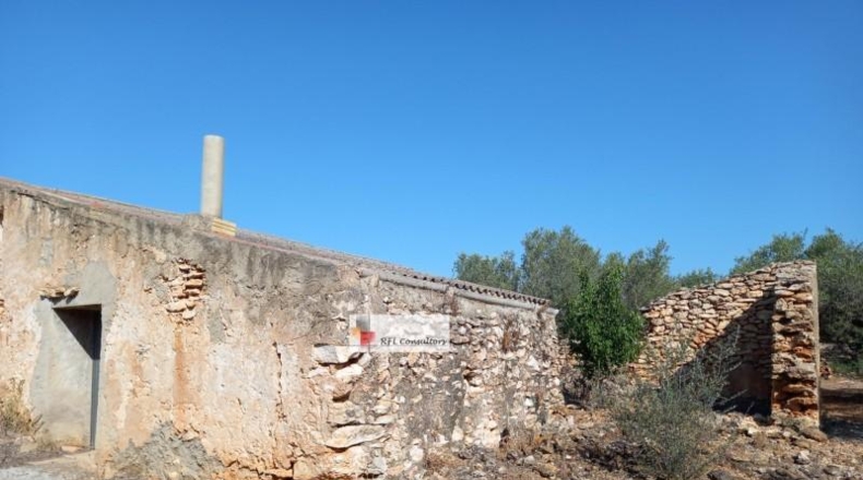 Tarragona - l'Ampolla - 24913m2