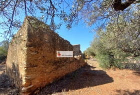 l'Ampolla 24913&nbsp;m²