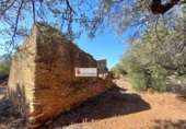 Terreno no urbanizable en venta en la España, l'Ampolla, ref: TR417298 foto