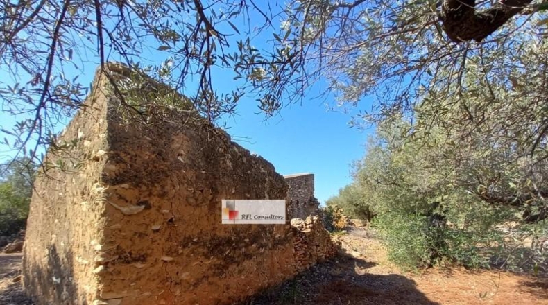 Tarragona - l'Ampolla - 24913m2