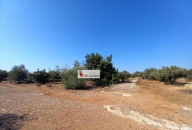 l'Ampolla 24913&nbsp;m²