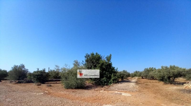 Tarragona - l'Ampolla - 24913m2