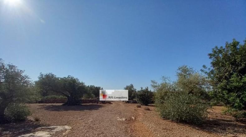Tarragona - l'Ampolla - 24913m2