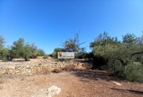 l'Ampolla 24913&nbsp;m²