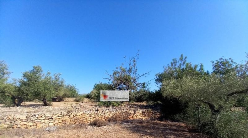Tarragona - l'Ampolla - 24913m2