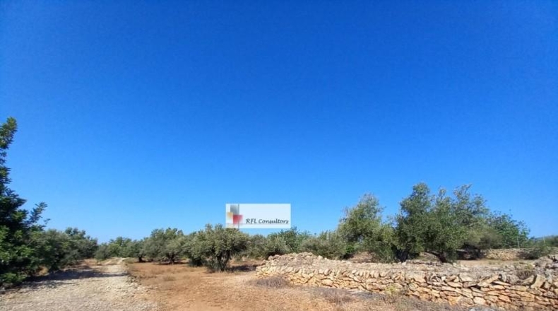 Tarragona - l'Ampolla - 24913m2