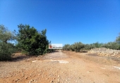 Terreno no urbanizable en venta en la España, l'Ampolla, ref: TR417298 foto