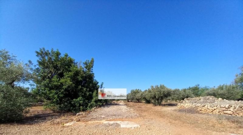 Tarragona - l'Ampolla - 24913m2