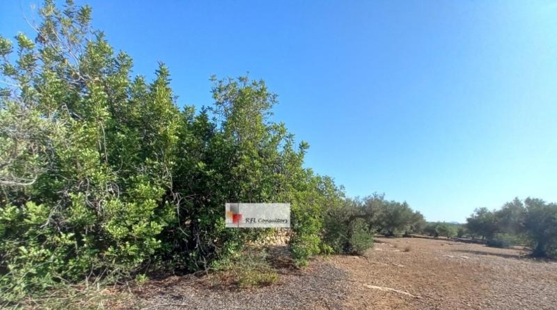 Tarragona - l'Ampolla - 24913m2