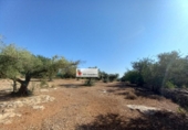 Terreno no urbanizable en venta en la España, l'Ampolla, ref: TR417298 foto
