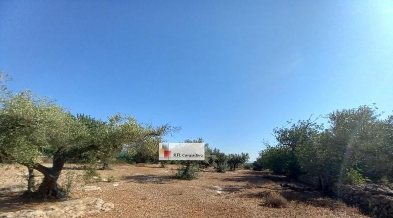 Tarragona - l'Ampolla - 24913m2