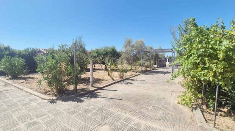 Salamanca - Calvarrasa de Abajo - 135m2