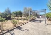 Xalet independent amb terreny en venda a la España, Calvarrasa de Abajo, ref.: TR417306 foto