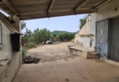 Xalet independent amb terreny en venda a la España, l'Ampolla, ref.: TR417311 foto