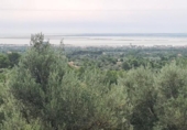 Xalet independent amb terreny en venda a la España, l'Ampolla, ref.: TR417311 foto