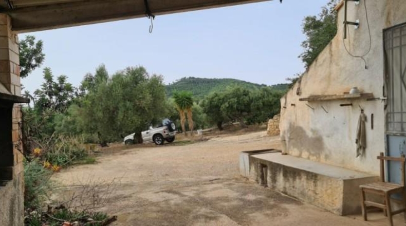 Tarragona - l'Ampolla - 41000m2