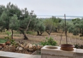 Xalet independent amb terreny en venda a la España, l'Ampolla, ref.: TR417311 foto