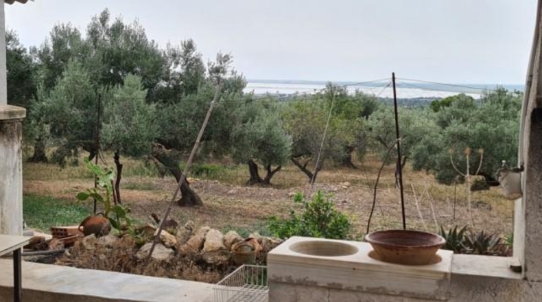 Tarragona - l'Ampolla - 41000m2