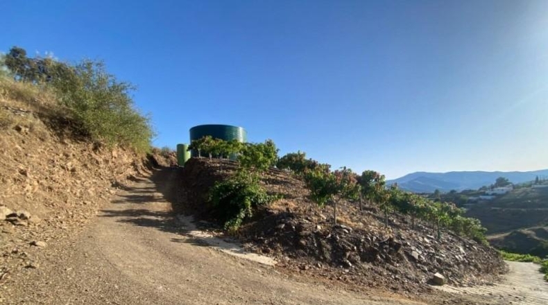 Малага - Colmenar - 140000m2