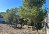 Suelo urbano en venta en la España, Murcia, ref: TR126202 foto