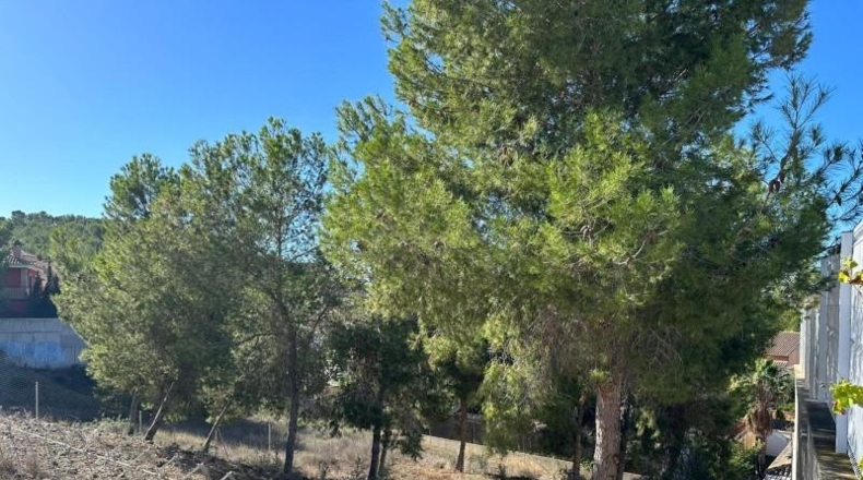 Múrcia - Múrcia - 514m2