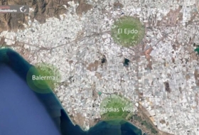 El Ejido 8402&nbsp;m²