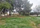Sòl urbà en venda a la España, Sant Vicent del Raspeig, ref.: TR417331 foto