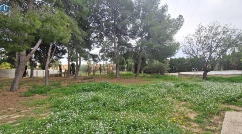 Alicante - San Vicente del Raspeig - 1220m2