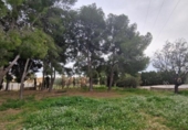 Sòl urbà en venda a la España, Sant Vicent del Raspeig, ref.: TR417331 foto