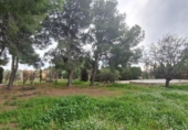 Sòl urbà en venda a la España, Sant Vicent del Raspeig, ref.: TR417331 foto
